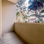 In 51277 شقة بيبيوني